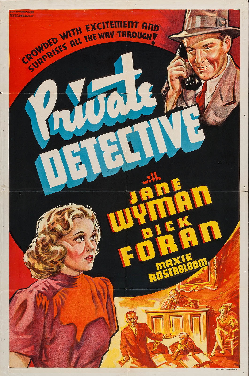 PRIVATE DETECTIVE